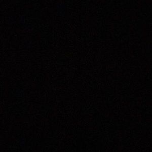 Meet your Posher, Javaris